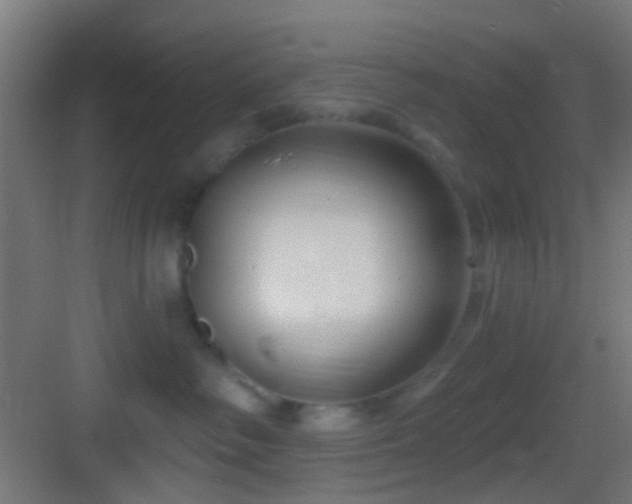 X0000083590334200702091200