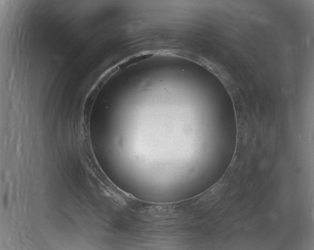 X0000083590338200702091159