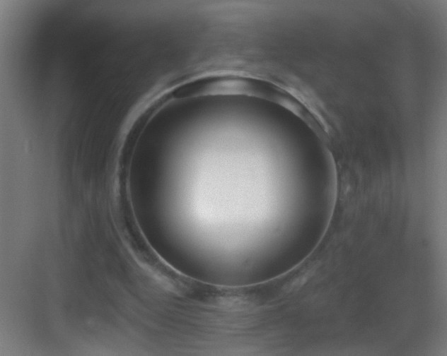 X0000083590344200702091159