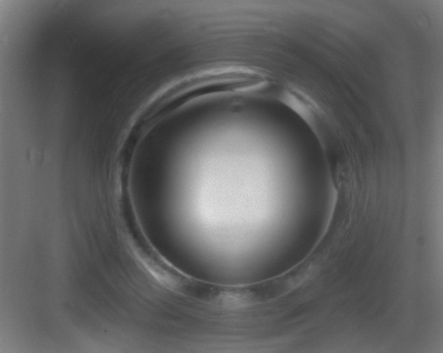 X0000083590350200702091159