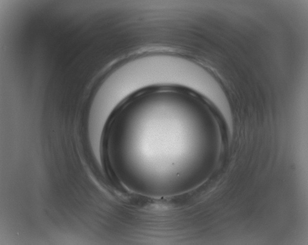 X0000083590352200702091159