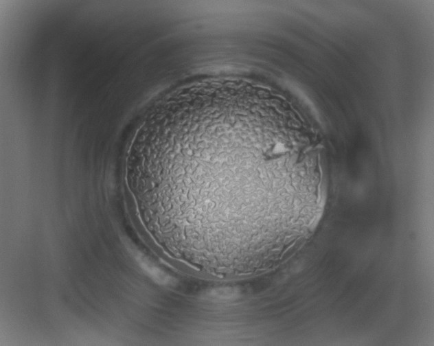 X0000083590353200702091159
