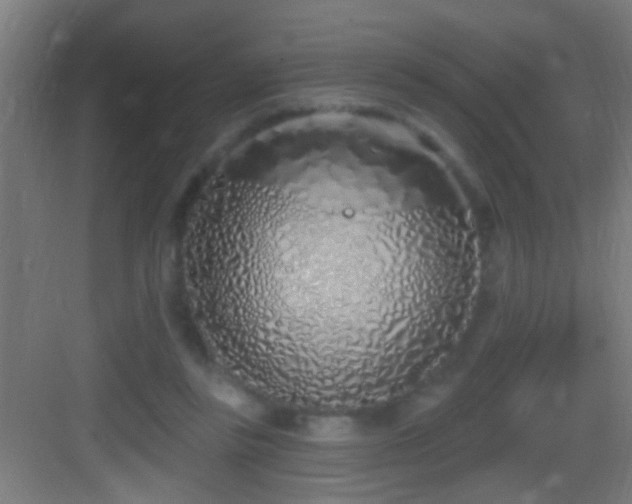 X0000083590355200702091159