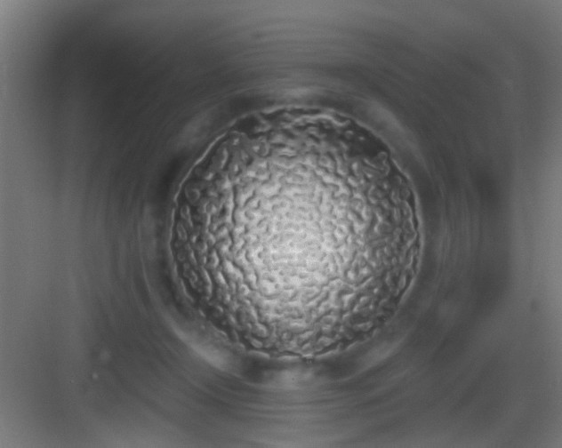 X0000083590366200702091159