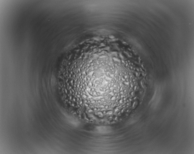 X0000083590371200702091200