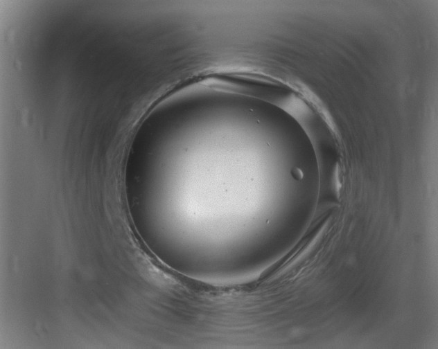 X0000083590385200702091159