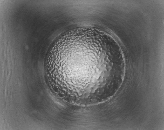 X0000083590386200702091159