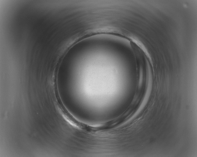 X0000083590389200702091159