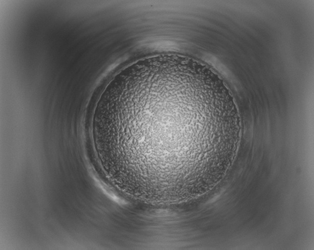 X0000083590390200702091159