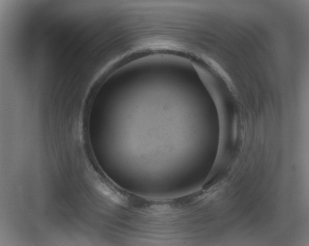 X0000083590391200702091159