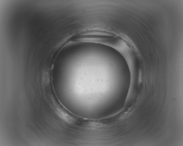 X0000083590393200702091159