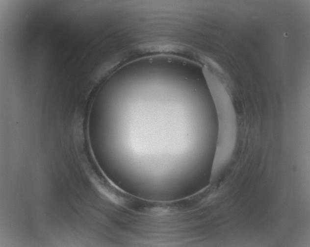 X0000083590394200702091159