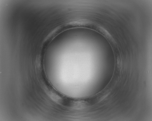 X0000083590396200702091159