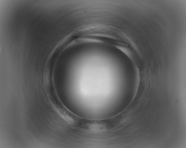 X0000083590400200702091159