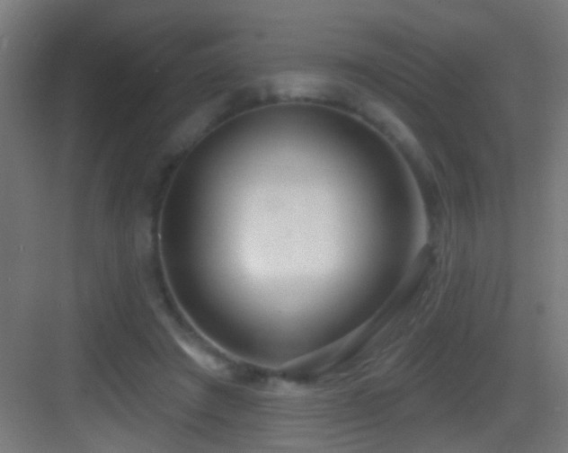 X0000083590401200702091159