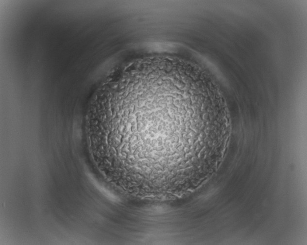 X0000083590402200702091159