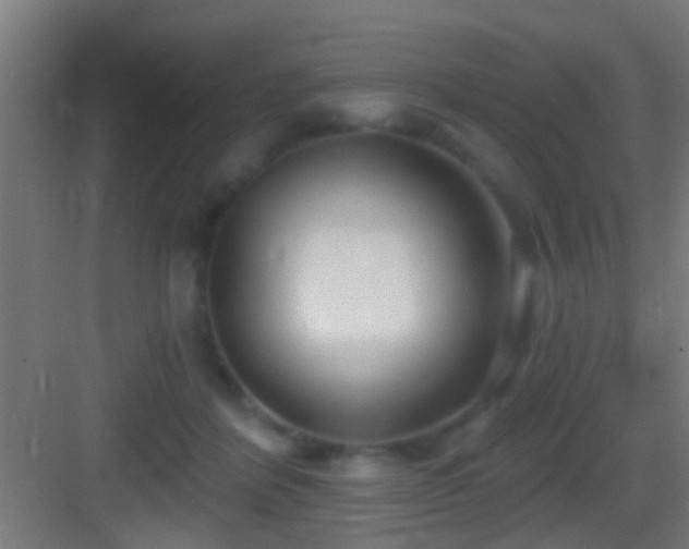 X0000083590412200702091159