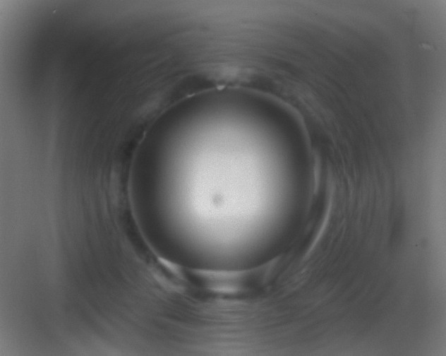 X0000083590416200702091158