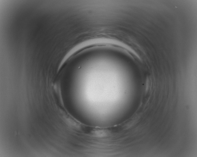 X0000083590417200702091158
