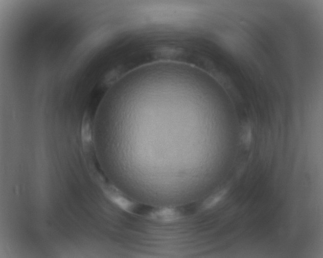 X0000083590431200702091158