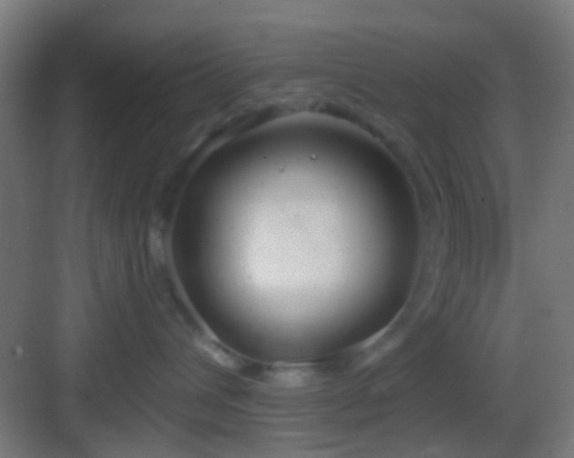 X0000083590432200702091158