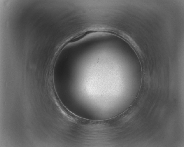 X0000083590433200702091157