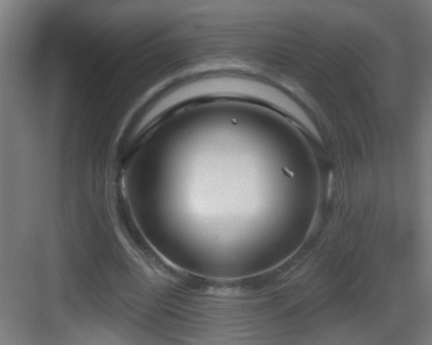 X0000083590440200702091157