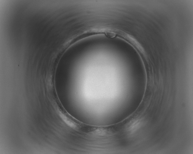 X0000083590441200702091157