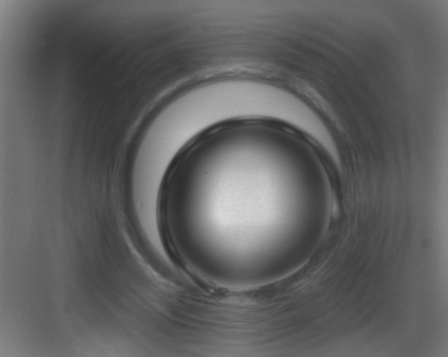X0000083590444200702091158