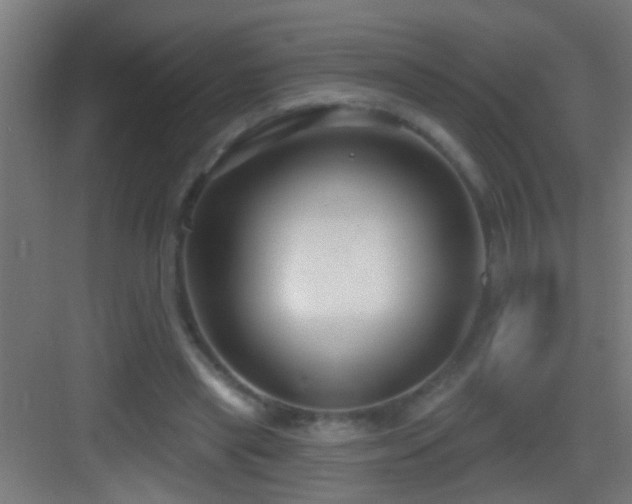 X0000083590445200702091158