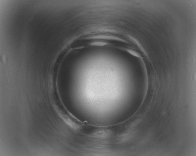 X0000083590447200702091158