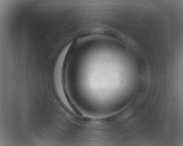 X0000083590462200702091158