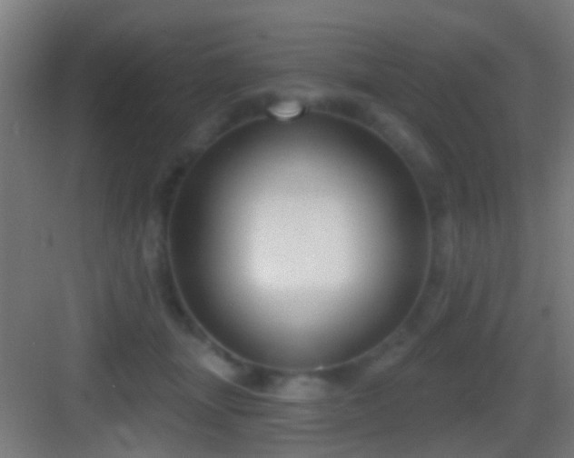 X0000083590463200702091158