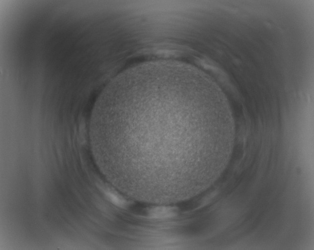 X0000083590465200702091158