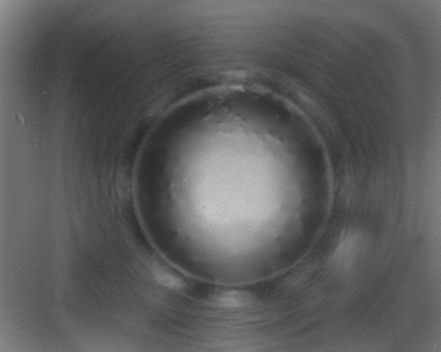 X0000083590467200702091158