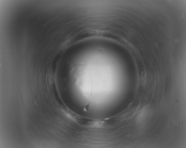 X0000083590474200702091158