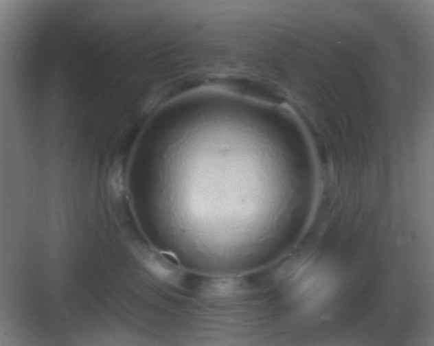 X0000083590479200702091158