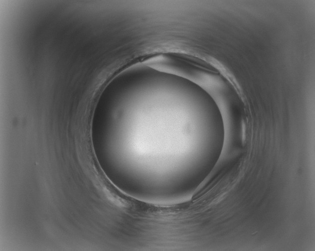 X0000083590481200702091157
