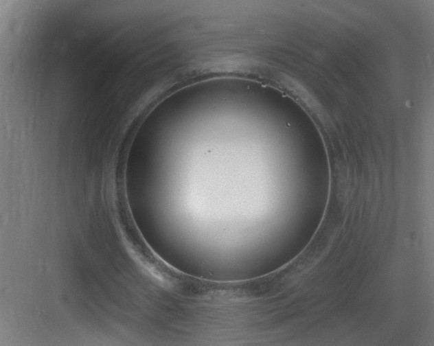 X0000083590482200702091157