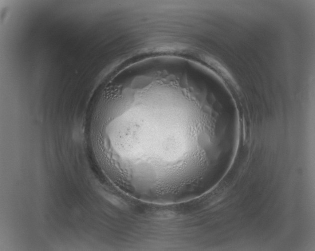 X0000083590483200702091157