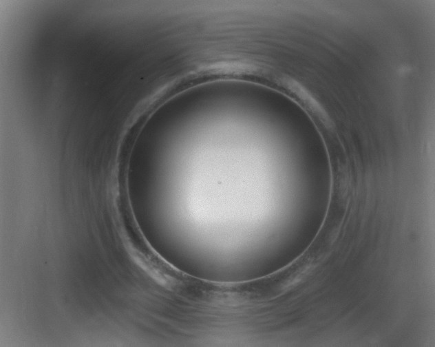 X0000083590486200702091157