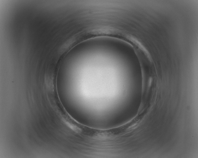 X0000083590489200702091157