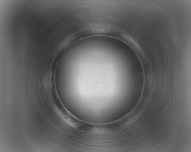 X0000083590490200702091157