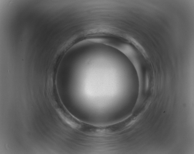 X0000083590493200702091157