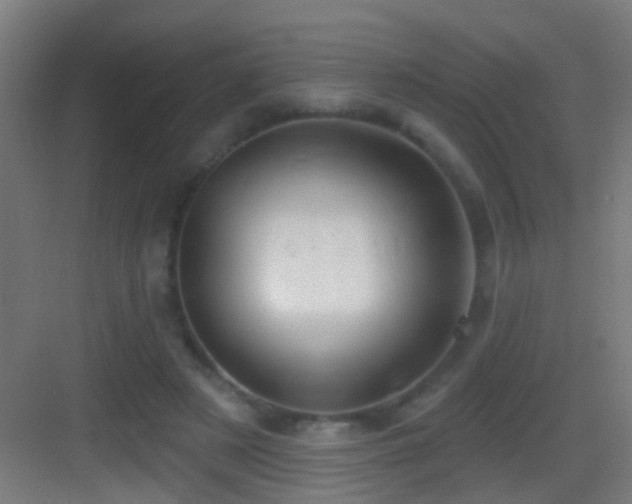 X0000083590497200702091157