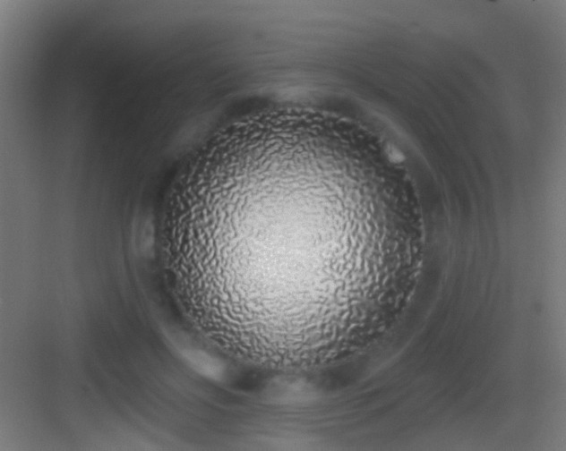 X0000083590502200702091157