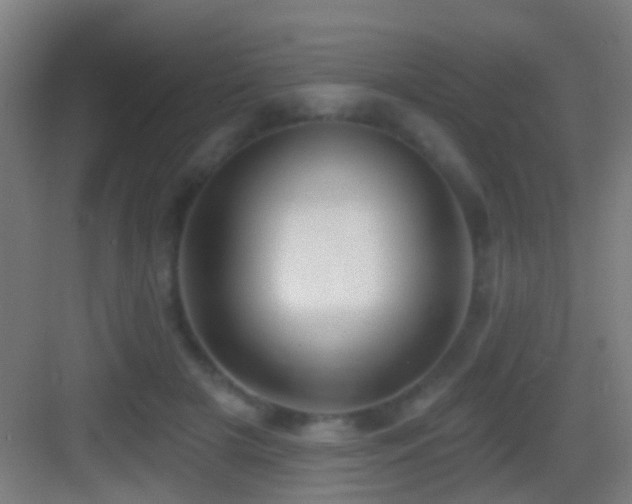 X0000083590505200702091157
