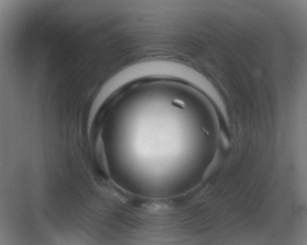 X0000083590512200702091157