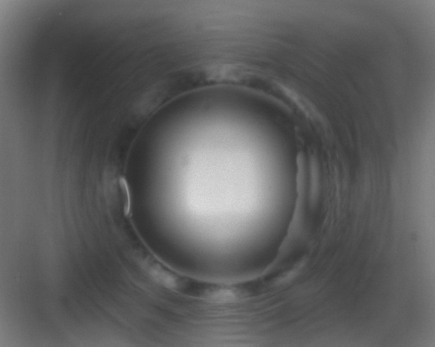 X0000083590513200702091157