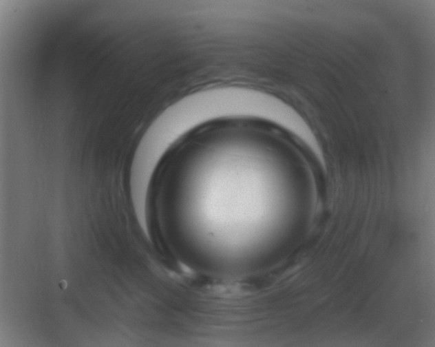 X0000083590524200702091157